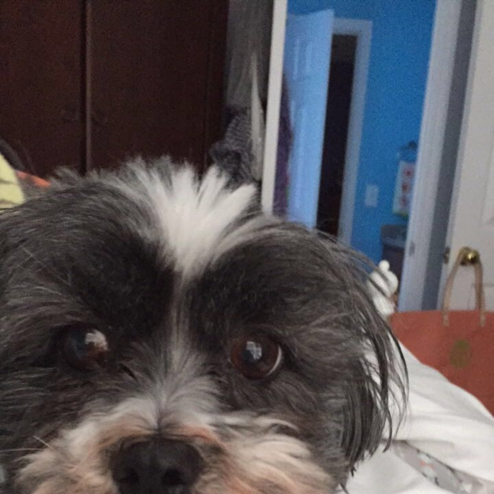 Meet your Posher, Madelyn